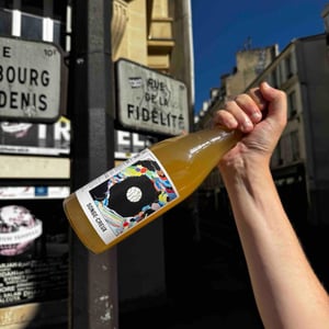 Songe-Creux - Le vignoble du Pagure - hugo-courvoisier -2022