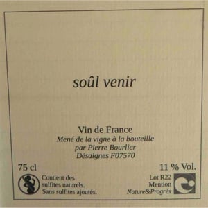 SOUL VENIR - Pierre Bourlier - pierre-bourlier -2021