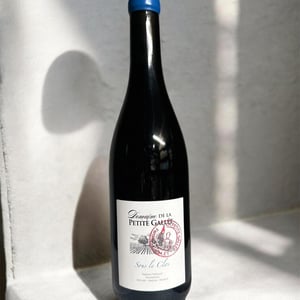 Sous le Clos - Clos de la petite Gallée - Pierre Thollet -2023