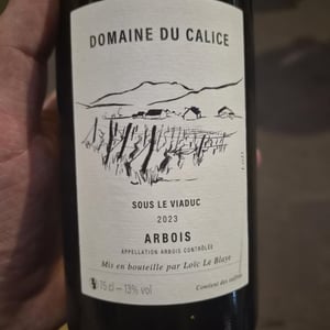 Sous le viaduc - Domaine du Calice - loic-le-blaye -2021