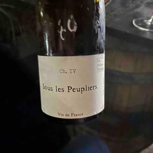 Sous les peupliers - Les Enfants Terribles - jean-sarah-fallay -2026