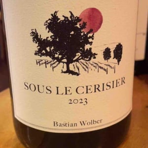 Sous les cerisier - Bastian Wolber - bastian-wolber -2023