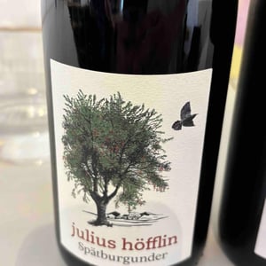 NaturTalent Spätburgunder - Weingut Höfflin - Matthias und Julius Höfflin 