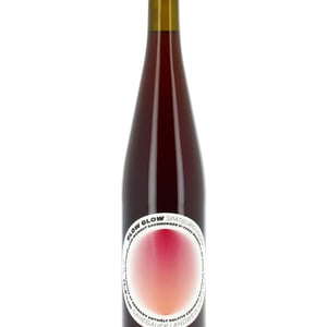 Spätburgunder - GLOW GLOW - Weingut Baumberger - Pauline & Carl Baumberger 