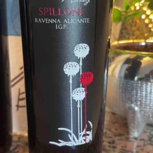 Spillone