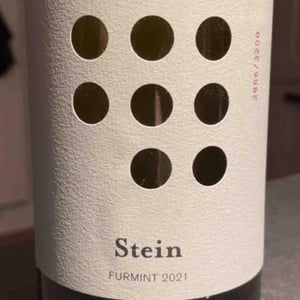 Stein Furmint - Weingut Weninger (Austria) / Weninger Pincészet (Hungary) - Franz Weninger 