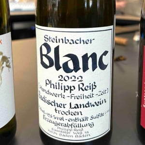 Steinbacher Blanc - Weingut Philipp Reiss - philipp-reiss -2022