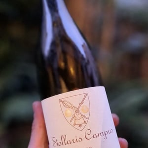 Stellaris Campus - Domaine Saint Jacques - Domaine Saint Jacques -2023
