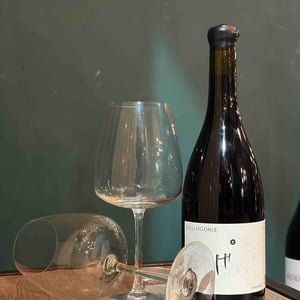 Stellogonie - Domaine Azzara - Benjamin Azzara -2023