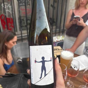 Still Crossing Borders - Soma Vines - daisy-merrick-antoine-lucchesi