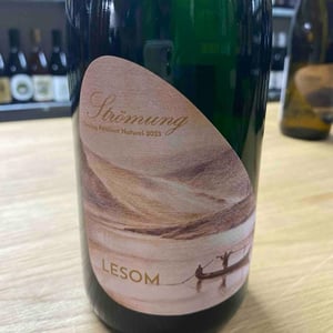 Strömung PétNat - Lesom Weine - jessika-reis-philipp-musevi -2023