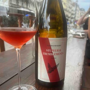 Stupeur et tremblements Rouge - Yannick Meckert - yannick-meckert -2024