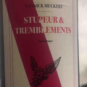 Stupeur et tremblements Rouge - Yannick Meckert - Yannick Meckert -2024