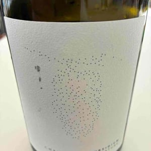 Subsidium - Cherubini - mattia-corbellini