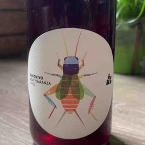 Suelo vivo tinto - Navarra - bodegas-lezaun -2022