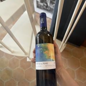 Sul Mare - I Mandorli - Maddalena Pasquetti & Andrea Bargiacchi -2024