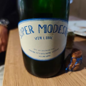 Super Modeste - Domaine de Sulauze - karina-guillaume-lefevre