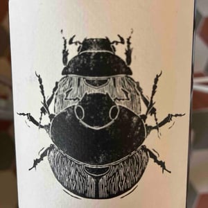 Superposition - Vin Noé - jonathan-purcell -2022