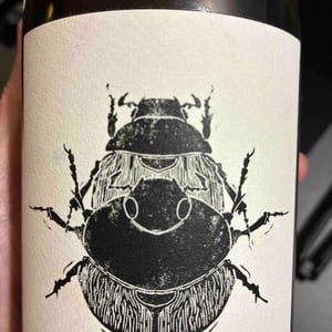 Superposition - Vin Noé - Jonathan Purcell -2022