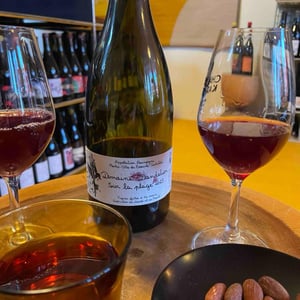 Sur la Plage - Domaine Dandelion - Morgane Seuillot & Christian Knott -2023