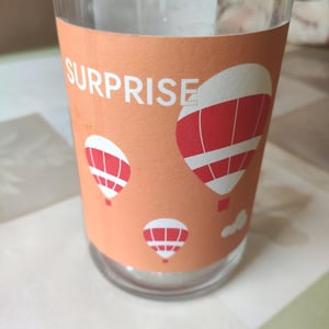 Surprise 24 - L'Esperluette - jean-claude-anne-beirieu