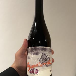 Survivor Rosato (old label) - Panevino - Gianfranco Manca 