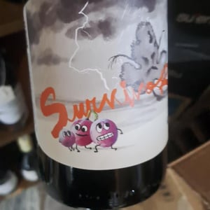 Survivor - Panevino - gianfranco-manca