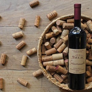 Susumaniello - Azienda Agricola Natalino Del Prete - natalino-del-prete -2021