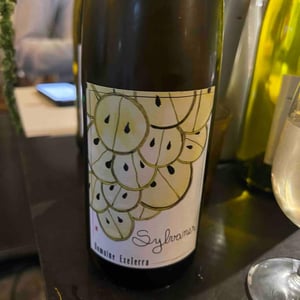Sylvaner - Domaine Exeterra - Florence Kachelhoffer -2023