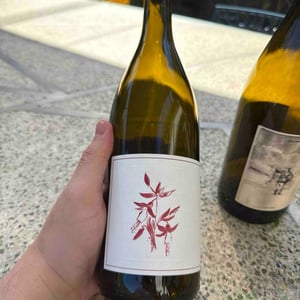 Syrah - Arnot-Roberts - duncan-arnot-meyers-nathan-lee-roberts-caitlin-quinn -2022