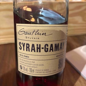 Syrah -Gamay - Sylvain Gauthier - 5bek28vh -2025