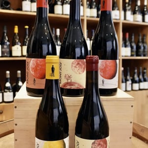 Syrah - Domaine Mont Joly - Jean-Baptiste Bachevillier -2022