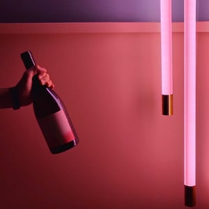 T Qui Rit - Vin Noé - Jonathan Purcell -2024