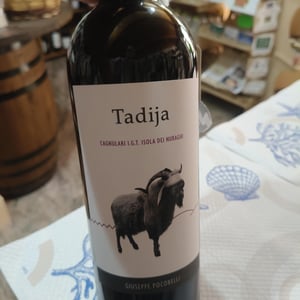 Tadija - Giuseppe Pocobelli - Giuseppe pocobelli -2024