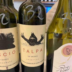 Talpa - Azienda Agricola Luigi Fersini - Luigi Fersini