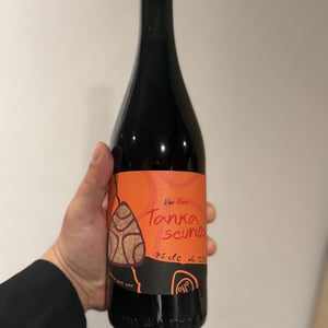 Tanca Scuriosa - Panevino - Gianfranco Manca -2024