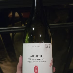 Teroldego - Azienda Agricola Foradori - Elisabetta Foradori -2018