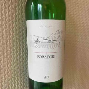 Teroldego - Azienda Agricola Foradori - Elisabetta Foradori -2018