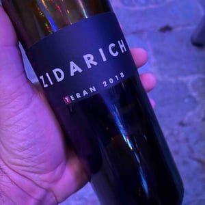 Terrano - Zidarich - Benjamin Zidarich -2022