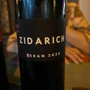 Terrano - Zidarich - Benjamin Zidarich -2022