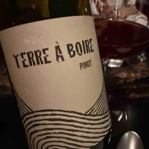 Terre À Boire - Léo Dirringer - Léo Dirringer 