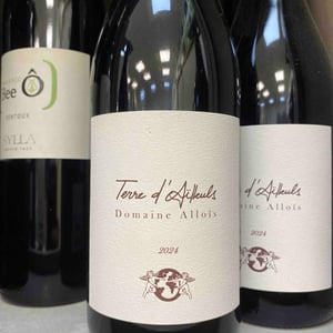 Terre D'ailleuls - Domaine Alloïs - francois-busi -2021