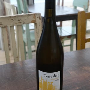 Terre De 3 - Terra Vita Vinum - benedicte-luc-briand -2018