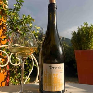 Terre De 3 - Terra Vita Vinum - benedicte-luc-briand -2018