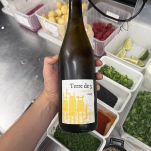 Terre De 3 - Terra Vita Vinum - benedicte-luc-briand -2018