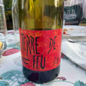 Terre de Feu Rouge - Les Foulards Rouges - Jean-Francois Nicq -2024