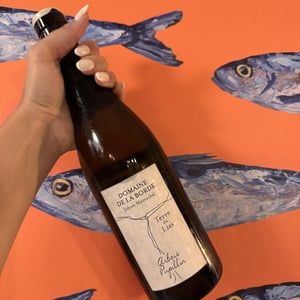 Terre du Lias - Domaine de la Borde - Julien Mareschal 