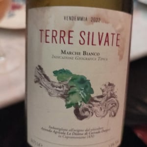 Terre Silvate - La Distesa - Corrado Dottori 