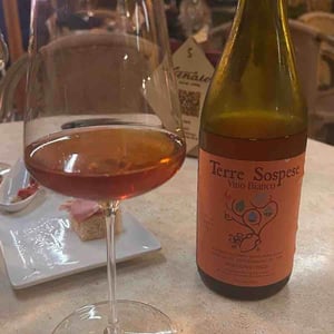 Terre Sospese - Terre Sospese - Andrea Pecunia