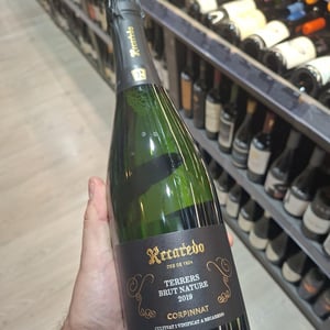 Terrers Brut Nature - Recaredo - ton-mata